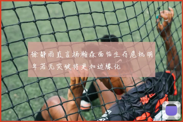徐静雨直言杨瀚森面临生存危机明年若无突破将更加边缘化