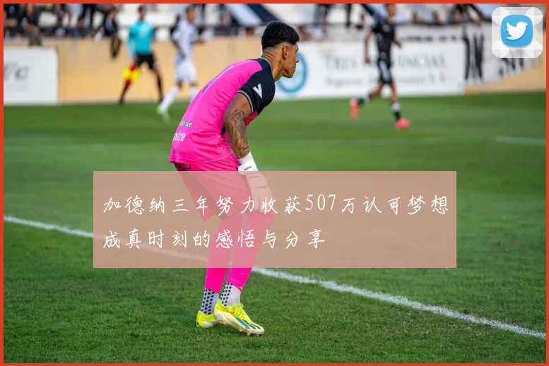 加德纳三年努力收获507万认可梦想成真时刻的感悟与分享