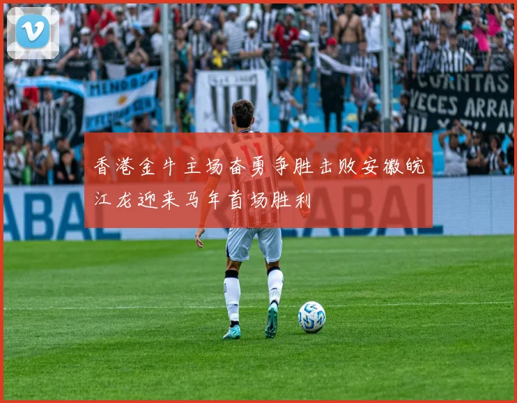 香港金牛主场奋勇争胜击败安徽皖江龙迎来马年首场胜利