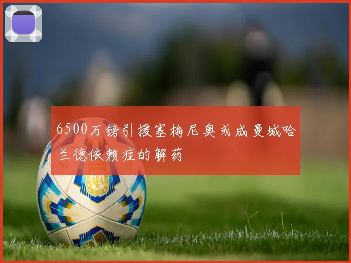 6500万镑引援塞梅尼奥或成曼城哈兰德依赖症的解药