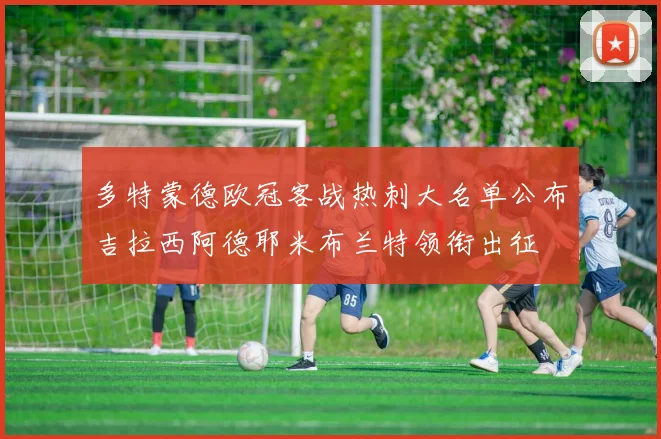 多特蒙德欧冠客战热刺大名单公布吉拉西阿德耶米布兰特领衔出征