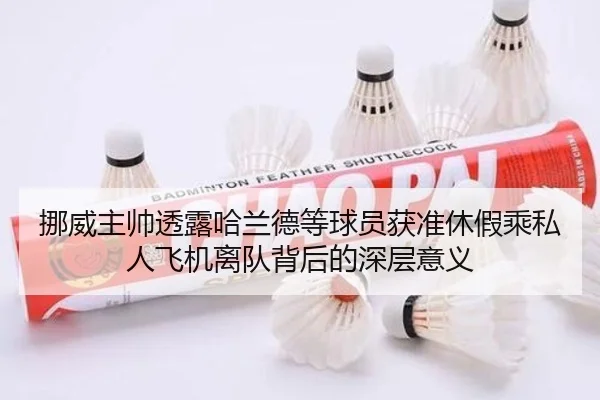 挪威主帅透露哈兰德等球员获准休假乘私人飞机离队背后的深层意义 - BOWWAYSPORTS
